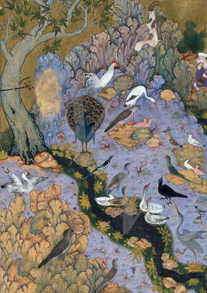 Language of the birds mystical Persian painting. Fine art print