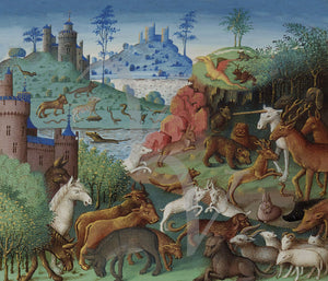 Medieval Animals illustration. Unicorns. Dragons. Fine art print