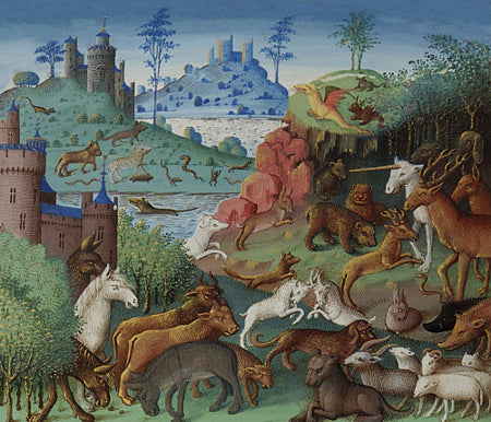 Medieval Animals illustration. Fine art print