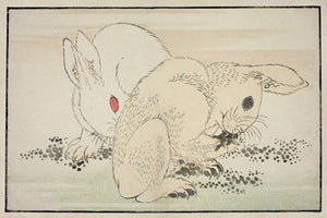 Two Rabbits. Antique Japanese woodblock. Fine Art Print 