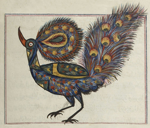 Painting of a peacock from antique Persian/Arabic manuscript on Cosmology