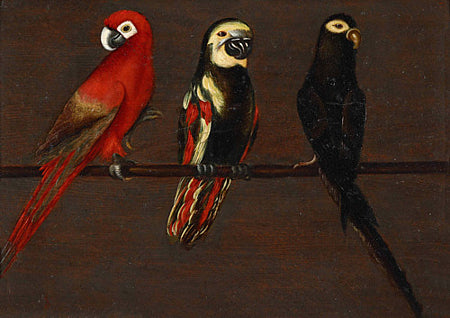 Exotic bird painting. parrots. Fine art print