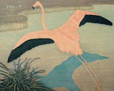 Flamingo in flight painting. Fine art print