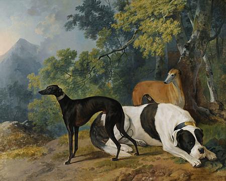 Dogs in a landscape. Antique painting of whippets and a Mastiff. Fine art print