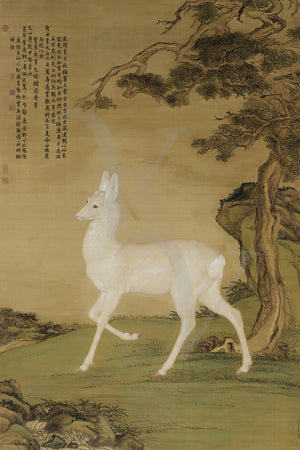 Japanese painting of a deer. Fine art print 