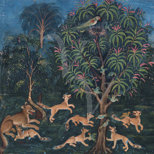 Foxes and parrots painting from a Persian / Indian book of animal fables. Fine Art Print