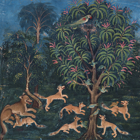 Foxes and parrots painting from a Persian / Indian book of animal fables. Fine Art Print