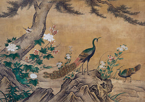 Peacocks in a Landscape Japanese painting. Fine art print