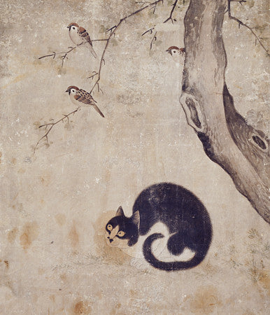 Cat watching birds in a tree. Antique Korean painting. Fine Art print