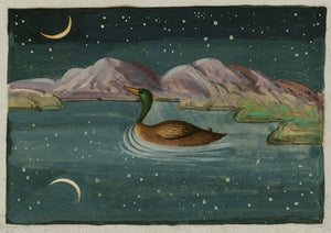 Duck by Moonlight. Persian painting from antique manuscript. Fine art print