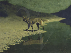 Wolf by moonlight antique painting. Fine art print