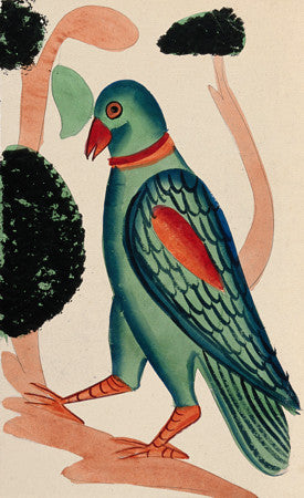Indian Kalighat Bird Painting. Fine Art Print