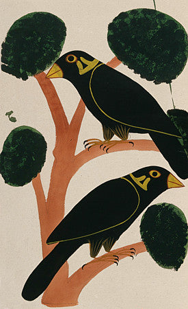 Two crows. Indian, Kalighat, antique bird painting. Fine art print