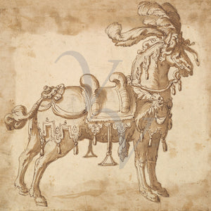 Tournament Horse. Vintage Italian ink painting. Fine Art Print