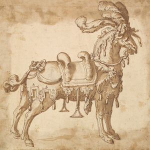 Ceremonial Horse. Antique Italian ink painting. Fine Art Print