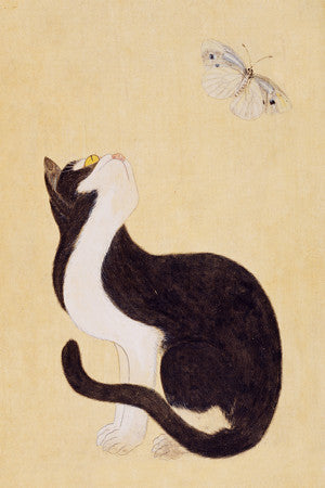 Cat and Butterfly. Antique Korean painting. Fine art print