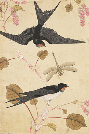 Birds and Blossoms. Antique Korean painting. Fine Art Print