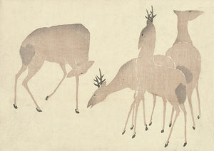 Japanese colour woodcut of deer. Fine art print 