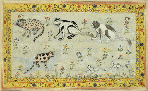 Antique Persian cat painting. Fine Art Print