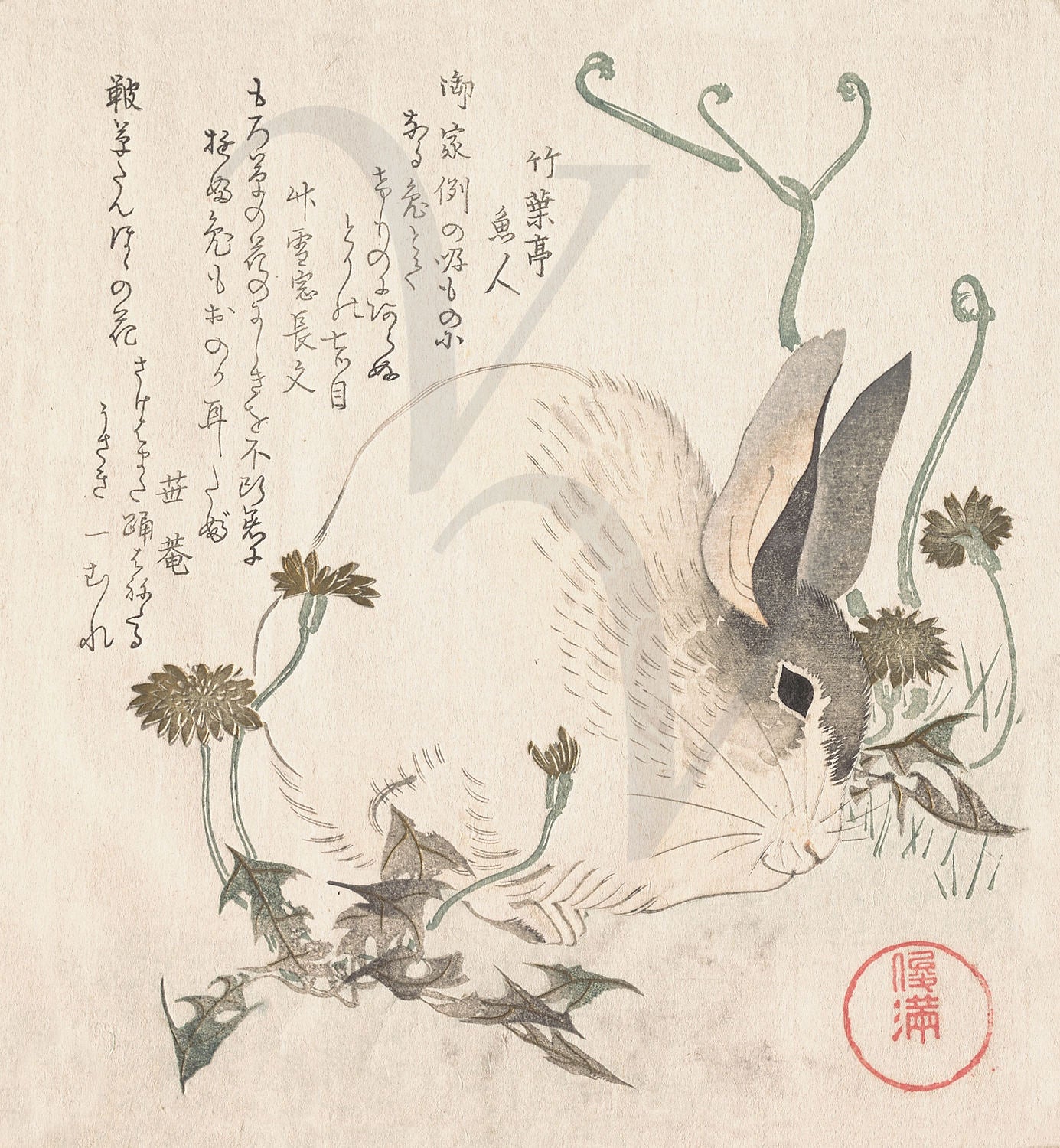 Japanese Woodblock Print Rabbit