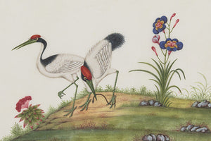 Exotic birds in a landscape. Antique Chinese painting. Fine art print 