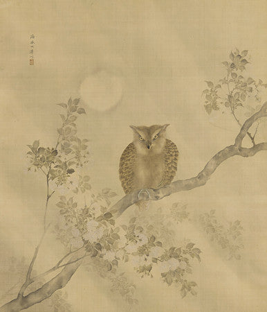 Owl and Full Moon. Japanese painting. Fine art print