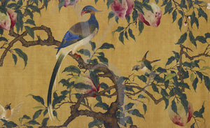 Exotic Birds in Fruit Tree. Antique Chinese painting. Fine Art Print