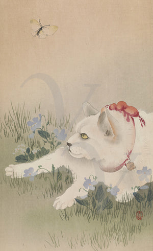 White Cat and Butterfly. Japanese woodblock fine art print