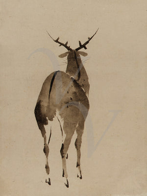 Japanese ink painting of a Deer. Fine art print