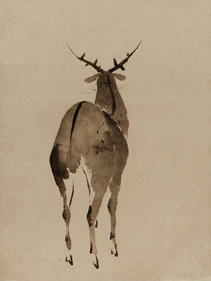 Deer. Japanese ink painting. Fine art print