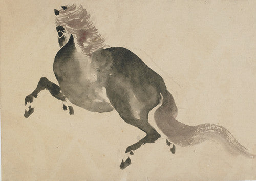 Japanese horse painting. Edo period. Fine art print 