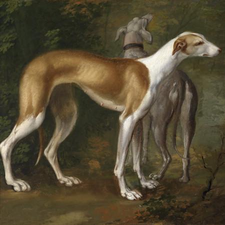 Two greyhounds. Antique painting. Fine art print
