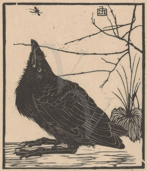 Black crow vintage woodblock fine art print