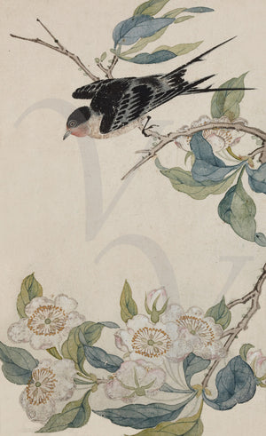 Birds and Blossoms. Antique Korean nature painting. Fine art print 