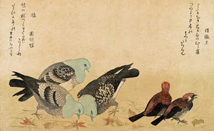 Doves, Pigeons and Sparrows. Japanese woodblock artwork. Fine art print