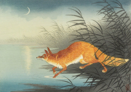 Fox by the Moonlit Water by Ohara Shoson. Japanese fine art print 