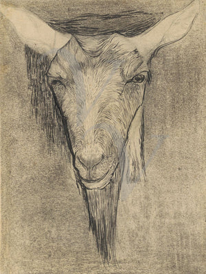 Vintage illustration of a goat's head. Fine art print