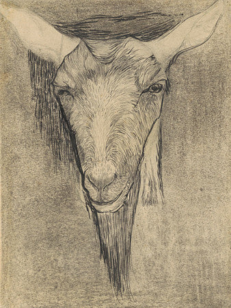 Goat Head antique illustration. Fine art print 