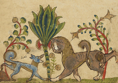 The Jackal and the Lion. Kalila wa Dimna. Fine Art Print 