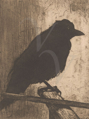 Black crow. Antique etching. Dark, Gothic bird artqork, Fine art print 