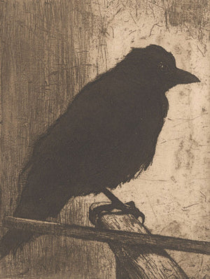 Black crow. Antique etching. Fine art print 