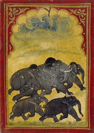 Indian elephants. Mughal painting. Fine art print 