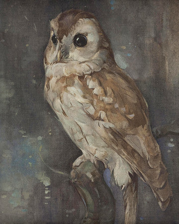 Barn Owl. Antique bird painting. Fine art print