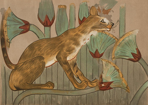 Egpytian cat amongst flowers, from the tomb of Khnumhotep II at Beni Hasan. Fine art print