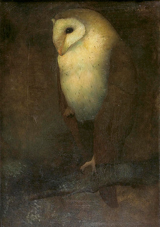 Barn Owl painting by Jan Mankes. Fine art print 