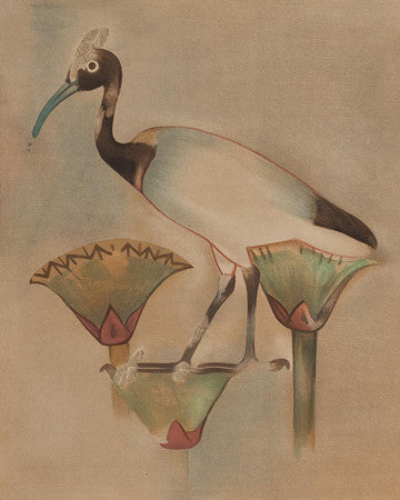 Sacred Egyptian Ibis on Papyrus. Fine art print 
