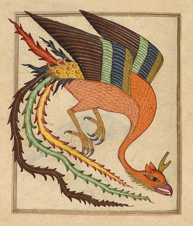 Mythological Simurgh from a Persian bestiary . Fine art print 
