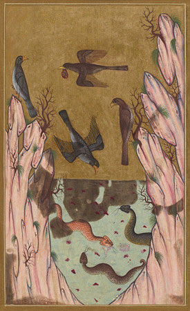 Birds of Prey and Snakes. Medieval Ottoman Turkish painting. Fine art print
