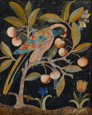 Bird in a fruit tree. Fine art print