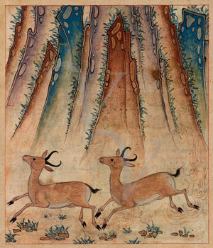 Illustration of two gazelles, from a Persian manuscript of Manāfi˓-i ḥayavān (The Benefits of Animals). Fine art print